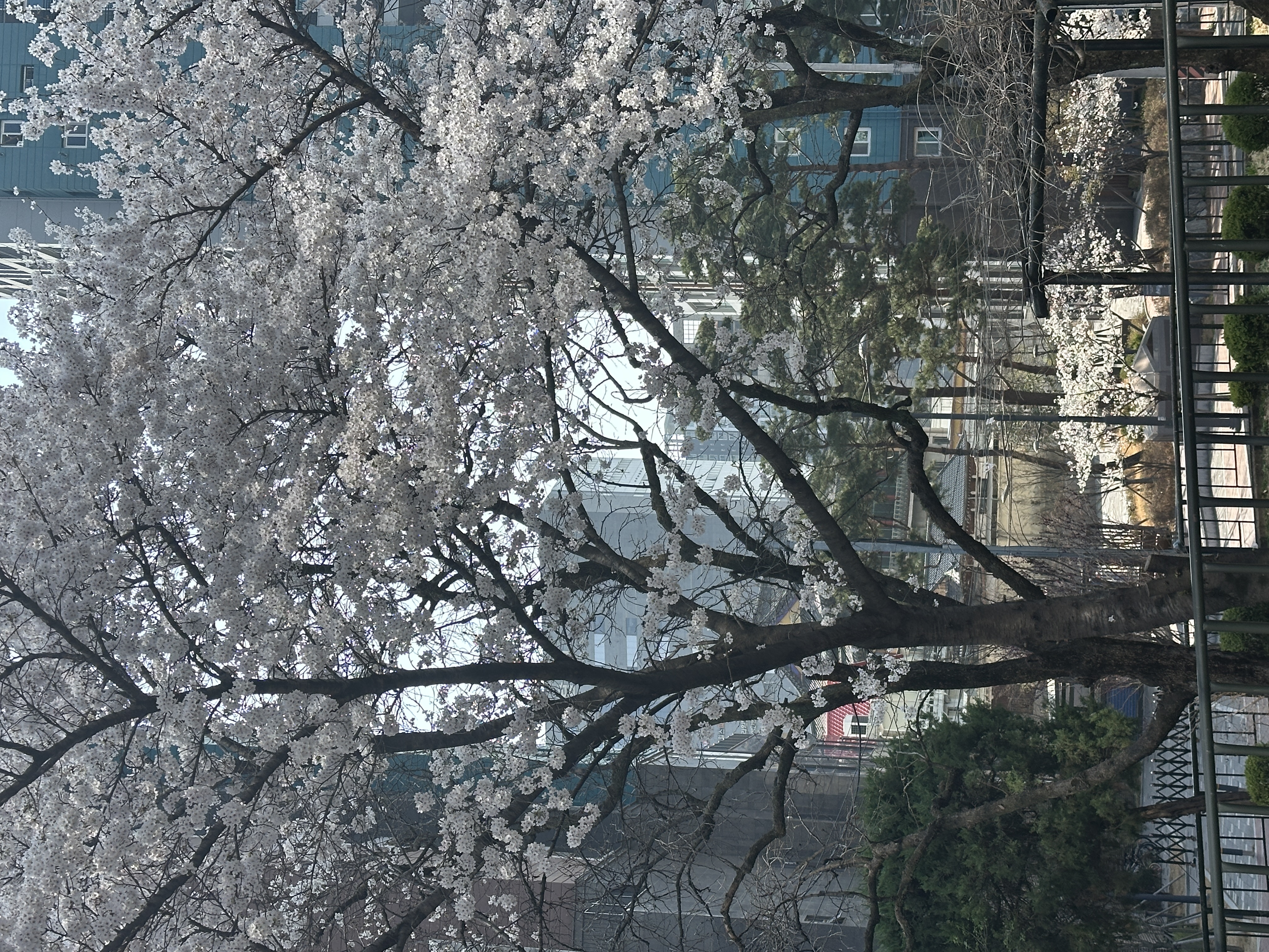 2026년 3월 회고 — 단련